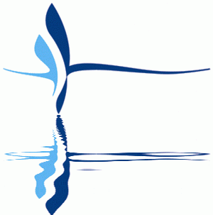 British Marine Federation Logo