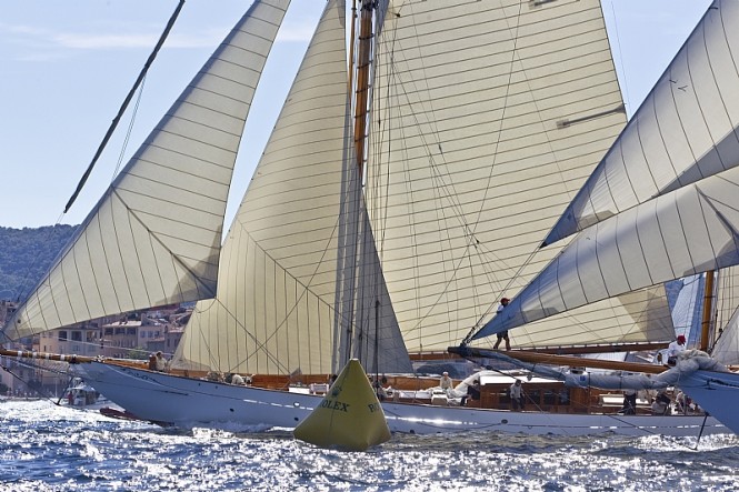 Sailing yacht ELENA at Les Voiles de Saint-Tropez - Photo credit Rolex  Carlo Borlenghi