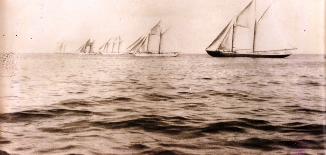 Five schooners start of the first Round Barbados Race January 1st 1936.  Image courtesy of Will Johnson.