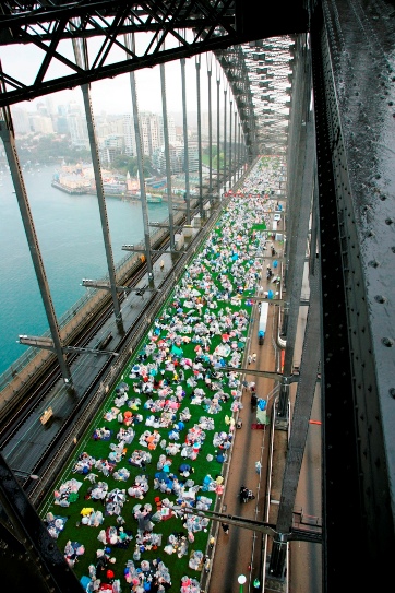 Sydney Harbour Bridge Picnic - Credit Crave Sydney International Food Festival 