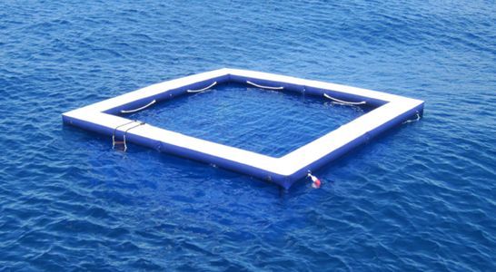 The Inflatable Sea Pool by Henshaw Inflatables