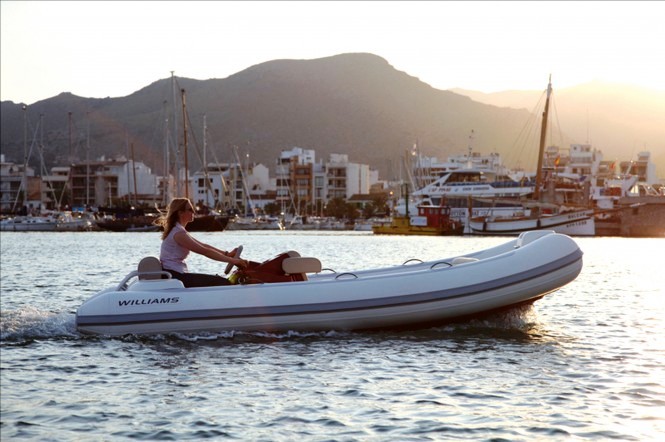 Williams Turbo Jet 445 - Williams Performance Tenders