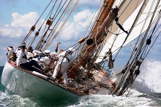 The 2010 British Panerai Regatta - © Lloyd Images