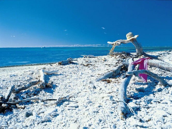 Lady Musgrave Island