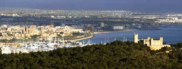 New Russia flights could boost luxury yacht charters in Palma de Mallorca, Spain