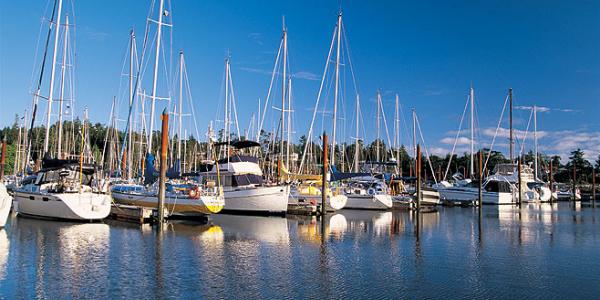 China's yacht industry has been developing rapidly