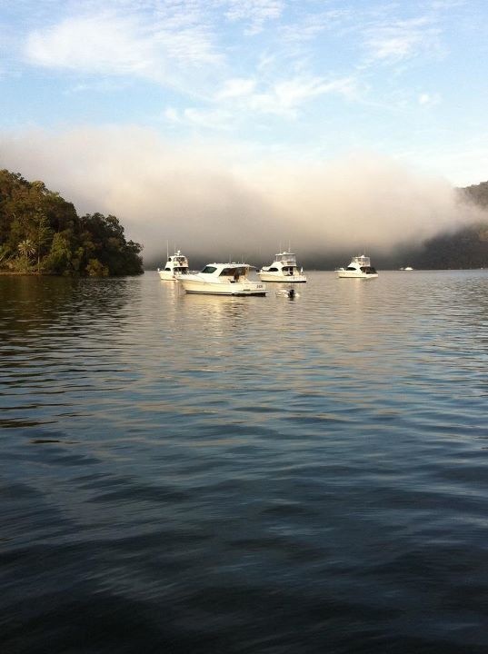 Morning mist over the water