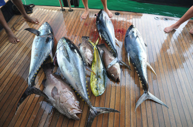 The image speaks for itself - Noble House superyacht fishing experience - Photo by Ming Nomchong and Luke Henkel