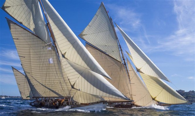 Les Voiles de St Tropez 2012 - Photo credit: Rolex/Carlo Borlenghi