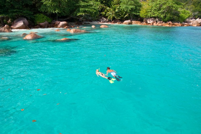Snorkelling in the Seychelles