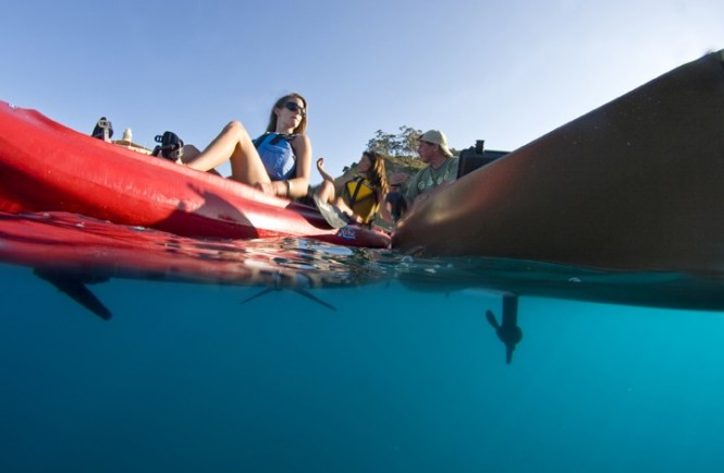 Hobie Evolve 2 Electric motor By Hobie