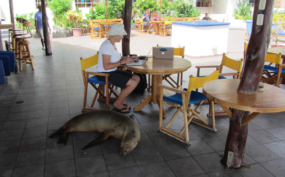 Oyster World Rally - Stopover in the Galapagos