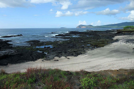 The magical South American yacht charter destination - the Galapagos Islands