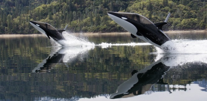 Seabreachers jumping