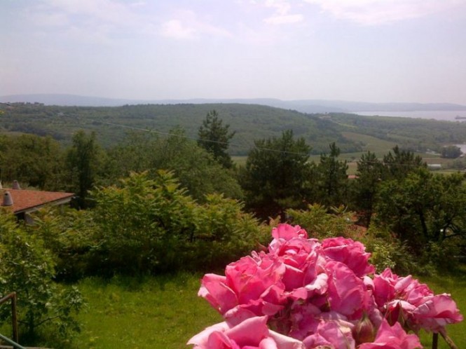 View from Ristorante Scheriani