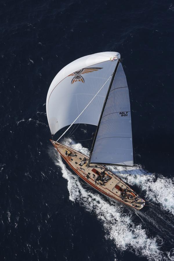 Majestic Tempus Fugit Yacht under sail