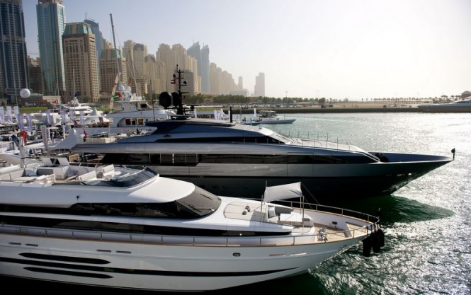 2014 DIBS to open tomorrow