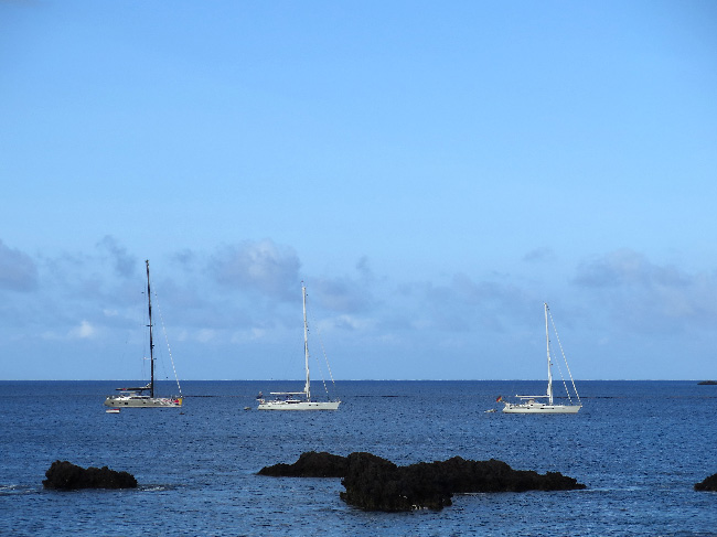 The inaugural Oyster World Rally
