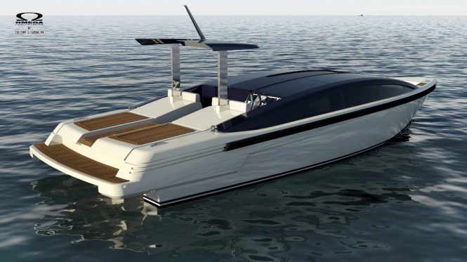 9.5m Limousine Tender - aft view