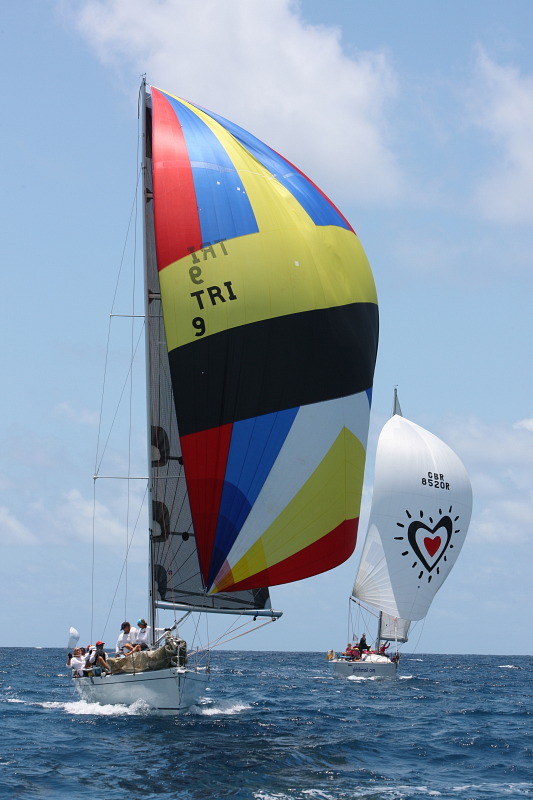 Bernie Evan-Wong's High Tension - Credit: Tim Wright/Photoaction.com