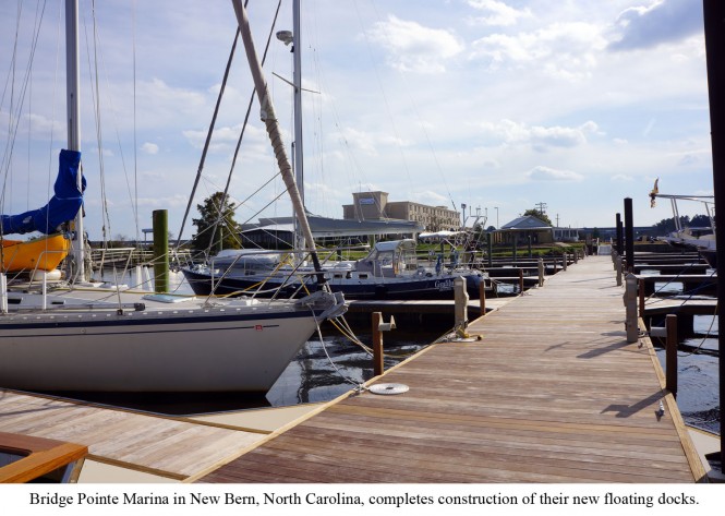 BMI1410_BridgePointe