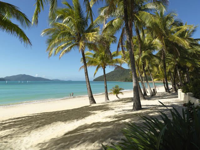 Catseye Beach - Hamilton Island