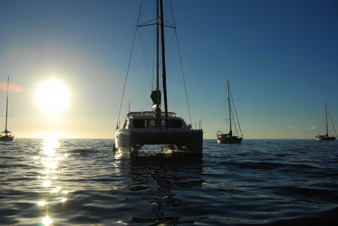 Yachts participating in the Governor's Cup Yacht Race