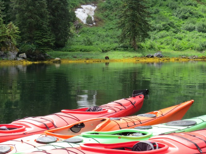 Kayaking in Alaska - Image credit to Viaggio Charters