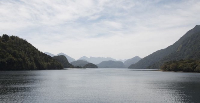 New Zealand's Fiorland dusky