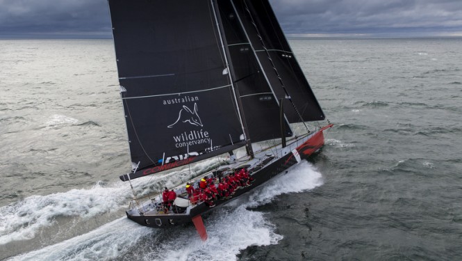 Sailing yacht Comanche - Photo by Onne van der Wal