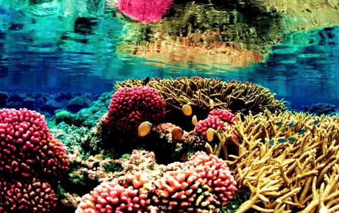 Great-Barrier-Reef-4 (2)