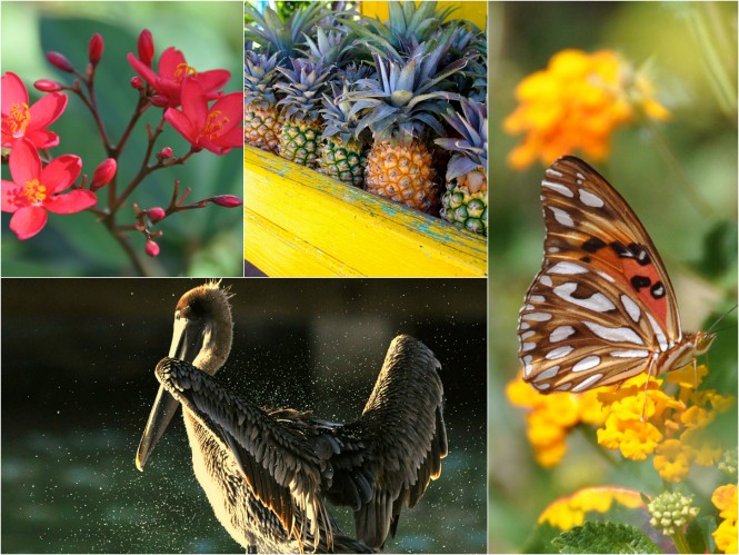 life-off-water-antigua-barbuda