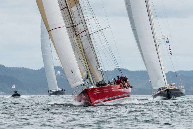 New Zealand Millennium Cup 