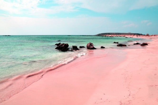 Pink sands beach on Harbour Island