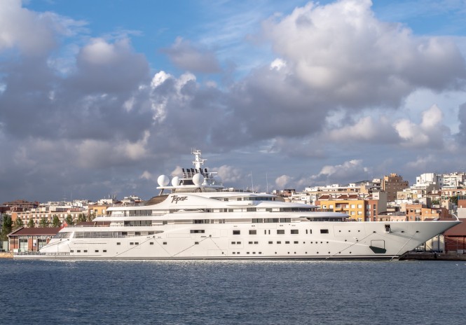 Topaz. Photo by Luis Perez Contreras 