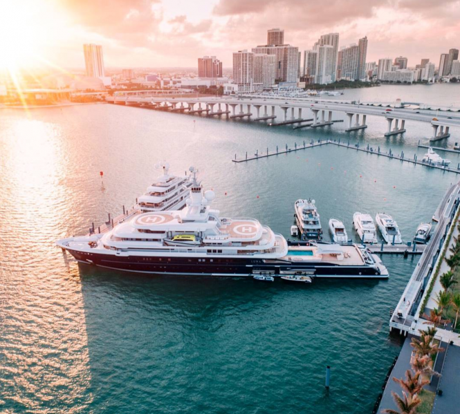 Luna in Miami. Photo by @flye_drones