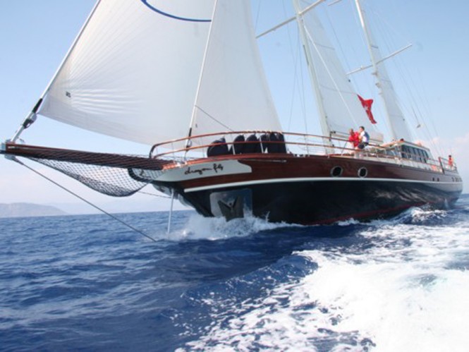 SY DRAGONFLY 39M 