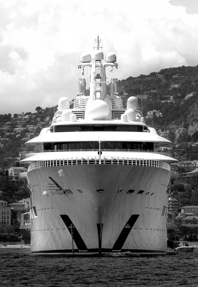 dilbar. Photo credit Yvan Grubski