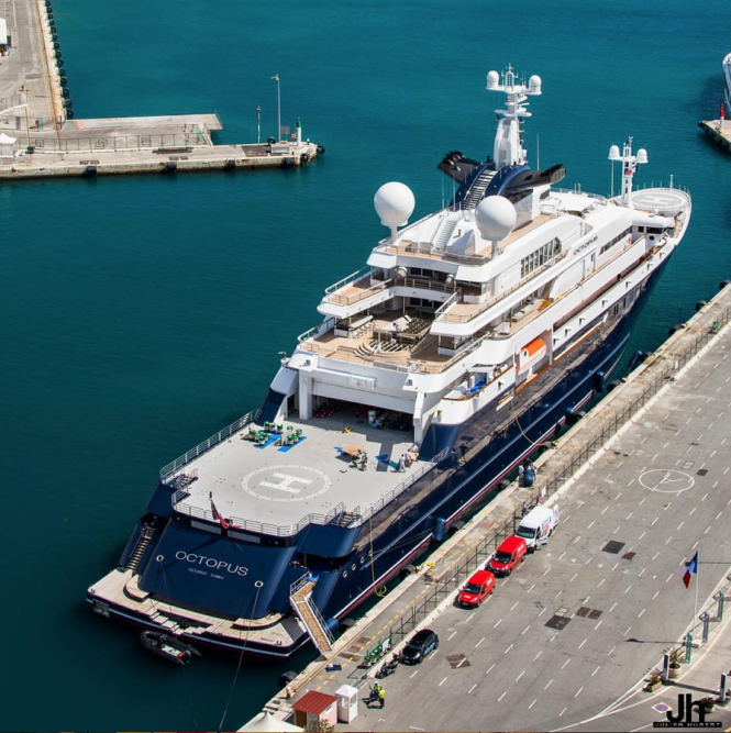 Octopus. Photo credit Julien Hubert