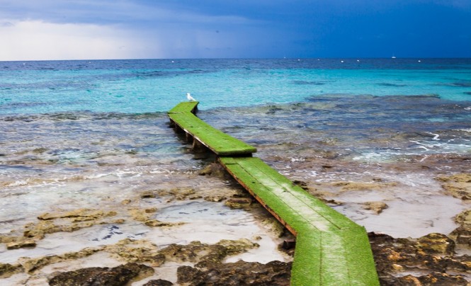 Sa Trinxa Bar catwalk - Photo credit Sa Trinxa