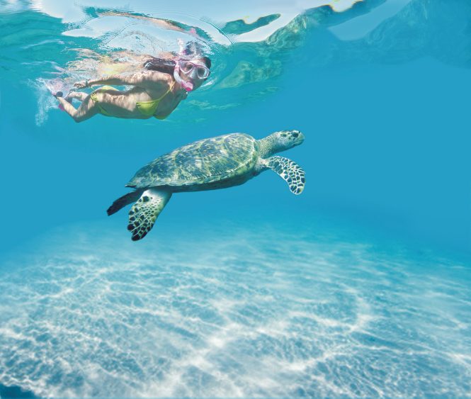Snorkelling on your luxury yacht charter ©Tobago Division of Tourism