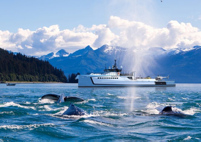 DAMEN yacht support vessel POWER-PLAY with whales