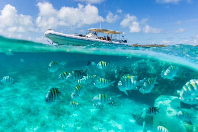 Amazing adventures throughout your entire charter vacation in the Bahamas
