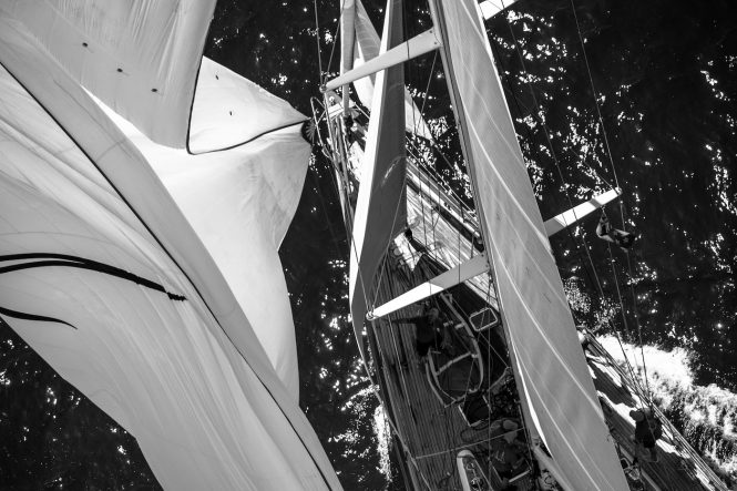 Millennium Cup 2019 - Photo © Jeff Brown