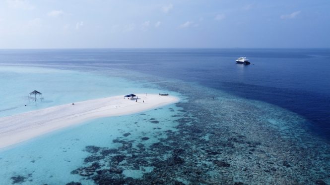 Safira in Maldives