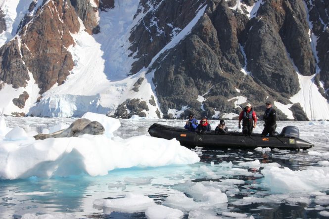 Unique wildlife - image from Nicolas Benazeth