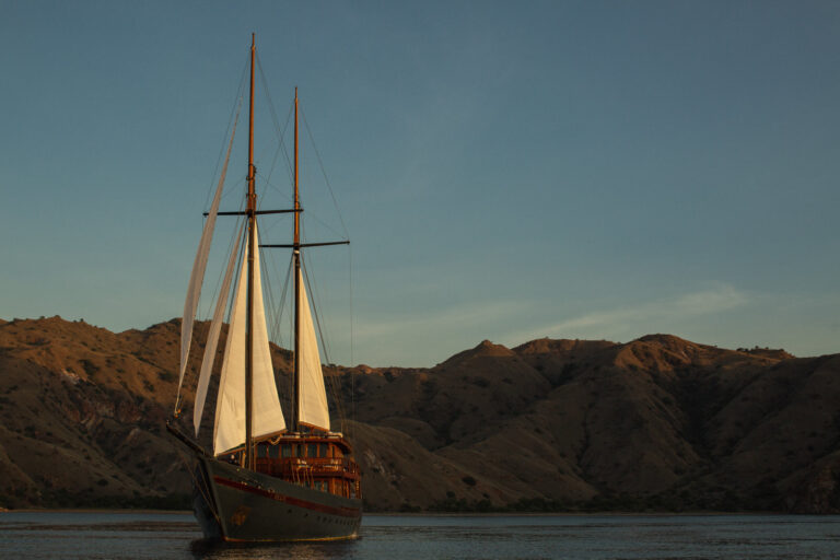 Super yacht VELA