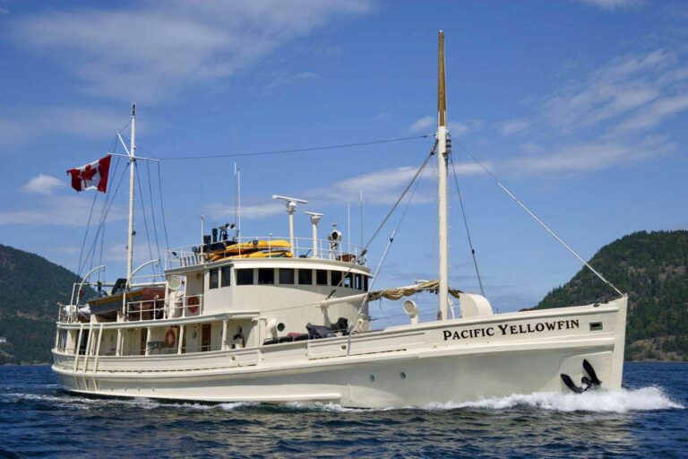 PACIFIC YELLOWFIN - Main shot