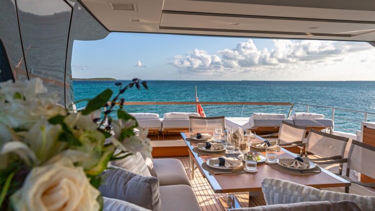 Flybridge views aft