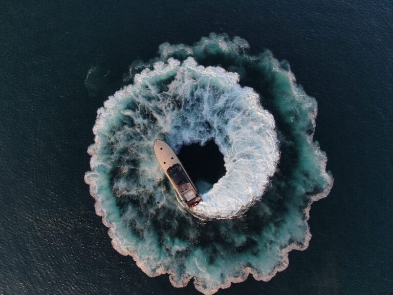 Aerial View Of BLUE MAMBA